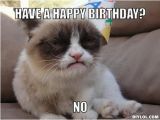 Angry Cat Birthday Meme Grumpy Cat Meme Generator Driverlayer Search Engine