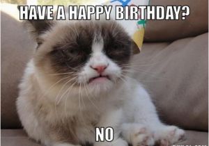 Angry Cat Birthday Meme Grumpy Cat Meme Generator Driverlayer Search Engine
