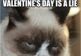 Angry Cat Birthday Meme Mad Cat Meme Tumblr Image Memes at Relatably Com