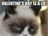 Angry Cat Birthday Meme Mad Cat Meme Tumblr Image Memes at Relatably Com