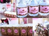 Animal Print Birthday Decorations A to Zebra Celebrations Leopard Princess Party