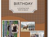 Assorted Birthday Cards In A Box Wild and Free assorted Box Of 12 Christian Birthday