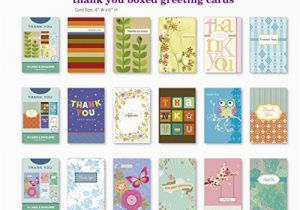 Assorted Birthday Cards In Bulk Value Pack assorted Thank You Appreciation Cards Bulk