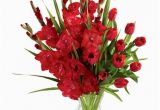August Birthday Flowers Birthday Flower for August Gladiolus