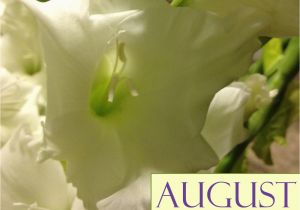 August Birthday Flowers Happy August Birthday From Freytag 39 S Florist August 39 S