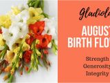 August Birthday Flowers What is My Birth Flower