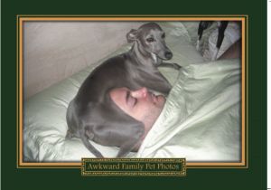 Awkward Family Photos Birthday Cards Awkward Family Pet Photos Greeting Card Amelie and I are