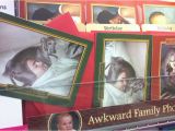 Awkward Family Photos Birthday Cards Awkward Family Pet Photos Greeting Cards Yep My Dog and