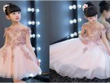 Baby Girl Birthday Dresses Online Shopping India Stylish Birthday Frocks for Baby Girl Kids Party Wear