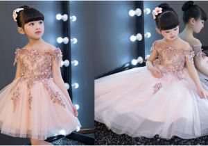 Baby Girl Birthday Dresses Online Shopping India Stylish Birthday Frocks for Baby Girl Kids Party Wear