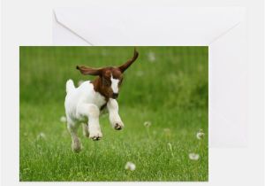 Baby Goat Birthday Card Baby Goat Greeting Cards Card Ideas Sayings Designs