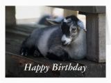 Baby Goat Birthday Card Goat Birthday Card Zazzle