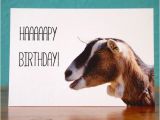Baby Goat Birthday Card Goat Notecardhappy Birthday Goat 2 Handmade Birthday Card