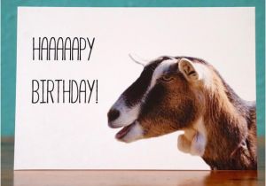 Baby Goat Birthday Card Goat Notecardhappy Birthday Goat 2 Handmade Birthday Card