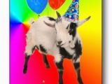 Baby Goat Birthday Card Goat Thing Of the Day the Litany Of Brittainy Nanny