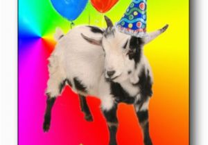 Baby Goat Birthday Card Goat Thing Of the Day the Litany Of Brittainy Nanny