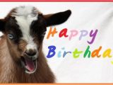 Baby Goat Birthday Card Happy Birthday Wishes with Goats Page 2