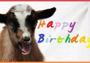 Baby Goat Birthday Card Happy Birthday Wishes with Goats Page 2