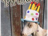 Baby Goat Birthday Card socalmountains Com Printer Friendly