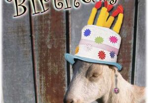Baby Goat Birthday Card socalmountains Com Printer Friendly
