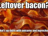 Bacon Birthday Meme 10 Crazy Bacon Memes Tiptoptens Com