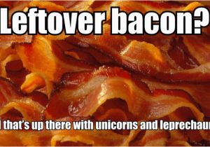 Bacon Birthday Meme 10 Crazy Bacon Memes Tiptoptens Com