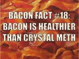 Bacon Birthday Meme Best 25 Bacon Memes Ideas On Pinterest Funny Vegan