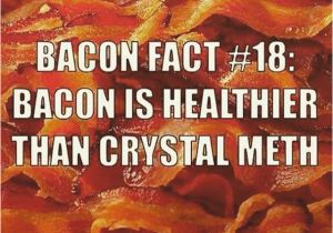 Bacon Birthday Meme Best 25 Bacon Memes Ideas On Pinterest Funny Vegan
