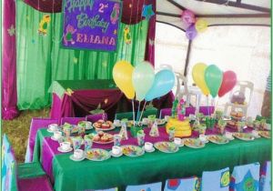 Barney Birthday Party Decorations Barney and Friends Birthday Party Ideas Www Pixshark Com