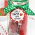 Best Gift for Teacher On Her Birthday Berry Gift Idea for Friends or Teachers Fun Squared