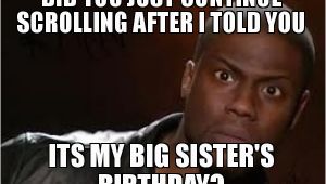 Big Sister Birthday Meme 20 Best Birthday Memes for Your Sister Sayingimages Com