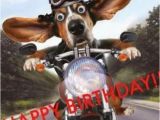 Biker Birthday Meme 15 top Happy Birthday Motorcycle Meme Jokes Quotesbae