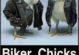 Biker Chick Birthday Memes 25 Best Memes About Biker Chicks Biker Chicks Memes