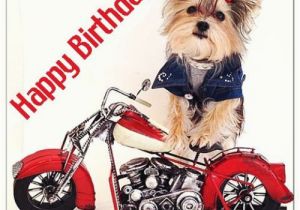 Biker Chick Birthday Memes Birthday Wishes with Puppies