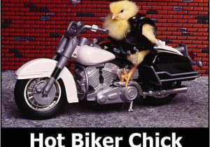 Biker Chick Birthday Memes Motorcycles Memes Eatsleepride