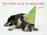 Birthday Card for A Dog 64 Dog Birthday Wishes