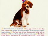 Birthday Card for A Dog All I Need From Dog Funny Humorous Birthday Card by