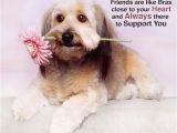 Birthday Card for A Dog Birthday Wishes for Friends Fun Stuff Pinterest
