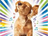 Birthday Card for A Dog Cocker Spaniel Puppy Music Luxury Glitter Birthday