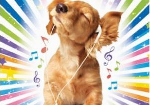 Birthday Card for A Dog Cocker Spaniel Puppy Music Luxury Glitter Birthday