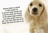 Birthday Card for A Dog Dog Birthday Quotes Quotesgram