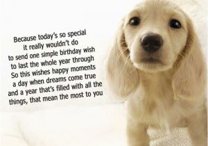 Birthday Card for A Dog Dog Birthday Quotes Quotesgram