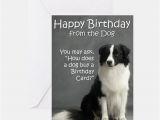 Birthday Card for A Dog Dogs Greeting Cards Card Ideas Sayings Designs Templates
