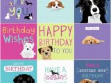 Birthday Card for A Dog Dogs Trust Charity Greeting Birthday Card by Waggy Tails