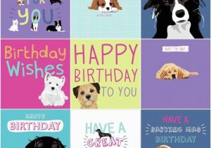 Birthday Card for A Dog Dogs Trust Charity Greeting Birthday Card by Waggy Tails