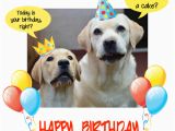 Birthday Card for A Dog Happy Birthday Dog Party Free Pets Ecards Greeting Cards