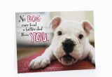 Birthday Card for A Dog Sleepy Birthday Dog Cards Hallmark Happy Card Pictures