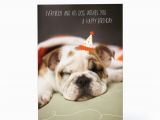Birthday Card for A Dog Sleepy Birthday Dog Greeting Card 1pgc7155 1470 1 Jpg