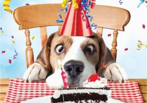 Birthday Card with Dogs Beagle Luxury Glitter Funny Birthday Greeting Card Dog