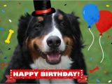 Birthday Card with Dogs Dog and Cat Cards Dog Birthday Card Card From Dog Pet